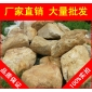 廠家直銷深圳常州花基砌邊黃蠟石，黃臘石假山石料