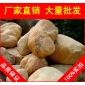 黃臘石風(fēng)景石、園林石出售，廣東黃臘石風(fēng)景石、園林石專賣