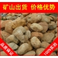 廣東黃臘石風(fēng)景石、園林石專賣，黃臘石風(fēng)景石、園林石批發(fā)