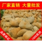 廣東黃臘石風(fēng)景石、園林石出售，黃臘石風(fēng)景石、園林石批發(fā)