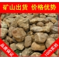 廣東英德黃臘石，湖岸水系黃蠟石，景觀石批發