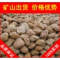 廣東英德黃臘石，別墅庭院廣東黃蠟石，景觀石批發(fā)