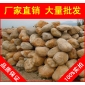 廣東黃臘石風(fēng)景石、園林石批發(fā)市場，黃臘石風(fēng)景石、園林風(fēng)景石零售