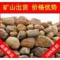 廣東英德黃蠟石，，景觀石批發(fā)廣東黃臘石，假山石廠家
