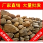 廣東英德黃臘石，，假山石廠家廣東黃蠟石，景觀石批發(fā)