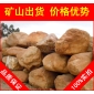 廣東英德黃臘石，天然美觀深圳黃蠟石，景觀石批發(fā)