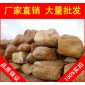 黃蠟石，濟南景觀石黃臘石，假山石廠家直銷