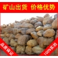 黃臘石，鄭州小區(qū)景觀黃蠟石，景觀石大量批發(fā)