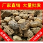廣東英德黃臘石風(fēng)景石，深圳黃蠟石，景觀石批發(fā)
