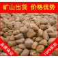 廣東英德黃蠟石，高端別墅廣東黃臘石，假山石廠家