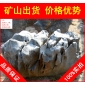 大型太湖石招牌石，蘇州人工湖駁岸太湖石，假山石廠家直銷