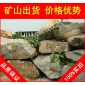 廣東青石，東莞青石，景觀石批發(fā)，假山石廠家