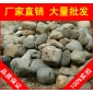 廣東青石，天然美觀中山青石，假山石廠家