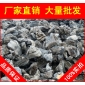 英石，寧波花基砌邊英石，景觀石大量批發(fā)