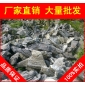 英石，鎮(zhèn)江小區(qū)特置英石，假山石廠家直銷