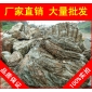 千層石，鎮江高端別墅千層石，景觀石大量批發