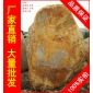 廠家直銷深圳中山形態各異大型黃蠟石，黃臘石假山石料