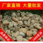廣東橢圓黃蠟石景觀石，假山設計制作