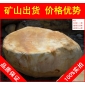 臺(tái)面石園林石，秦皇島草地點(diǎn)景散置黃蠟石，景觀石大量批發(fā)
