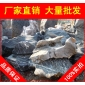 太湖石，衢州草地點(diǎn)景散置太湖石，假山石廠家直銷