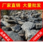太湖石，廣州太湖石假山石，風(fēng)景石廠家直銷