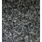 太平洋藍(lán)小花
