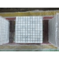 馬賽克 (13)