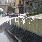 森林綠水景