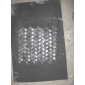 黒金花40x20