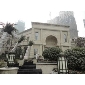 黃金麻案例