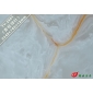 TY2601青枝綠葉