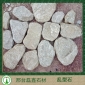 虎皮黃亂型