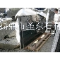 福鼎黑和黃金鉆