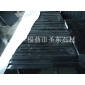 珍珠黑和蝴蝶綠