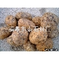 廠家直銷.福鼎黑,G684，珍珠黑,沙漠棕,莫高金鉆，福建青,大板,臺面板，文化石