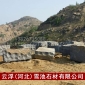 專業花崗巖路沿石廠家 供應黑色花崗巖 濱州青