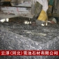 廠家銷售 廣場(chǎng)地鋪石 蝴蝶綠石材 綠色石材