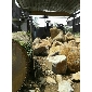 盛磊石材