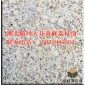 湖北隨州大花黃金麻卡基諾金大花黃金鉆荔枝面大黃