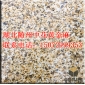湖北隨州中花黃金麻大黃光面