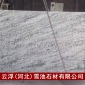 大量供應大理石 臺階石幻彩綠 天然石材質量可靠