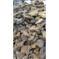 黃色火山巖 自然面 28