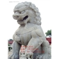 供應(yīng)廠家直銷優(yōu)質(zhì)石獅子FY-SZ001