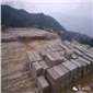 丁香黃 (1)