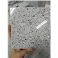 G303火燒面大量現(xiàn)貨
