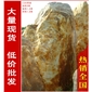 廣東黃臘石風(fēng)景石、園林石批發(fā)，黃蠟石假山擺放