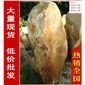 供應(yīng)廣東大型黃臘石風(fēng)景石、刻字石，廣東黃臘石風(fēng)景石、園林石批發(fā)