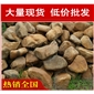 深圳北京小區景觀黃臘石，黃蠟石景觀石材