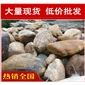 英德南京私家花園黃蠟石，黃臘石假山石料