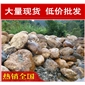 廣州無錫別墅庭院黃臘石，黃蠟石景觀石材